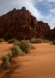 Sand Dunes at Snow Canyon State Park