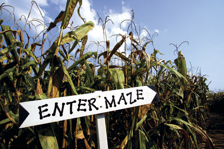 Staheli Corn Maze, St. George, Utah