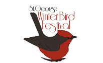 St. George Winter Bird Festival